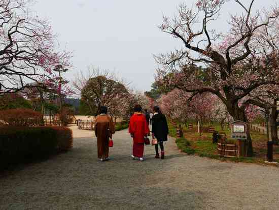 东京小众旅行地