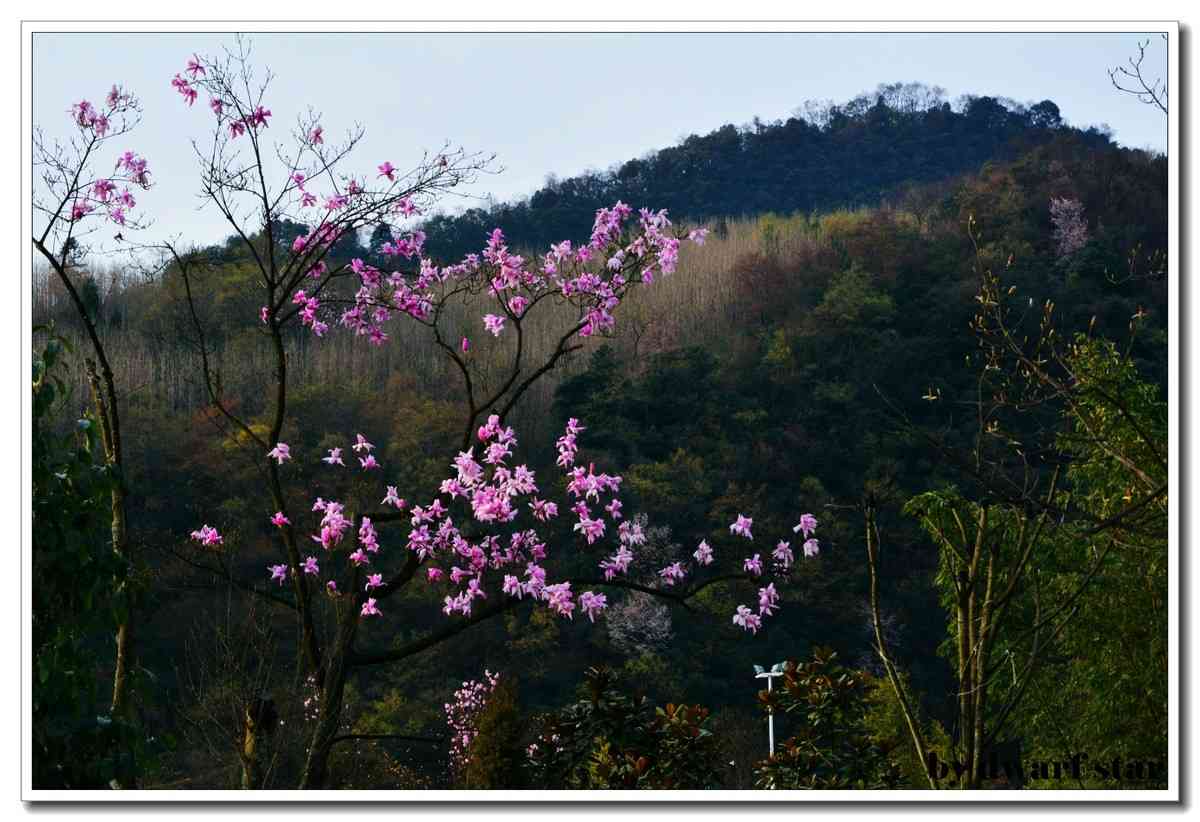 四川旅游最佳时间  什么季节来四川最好