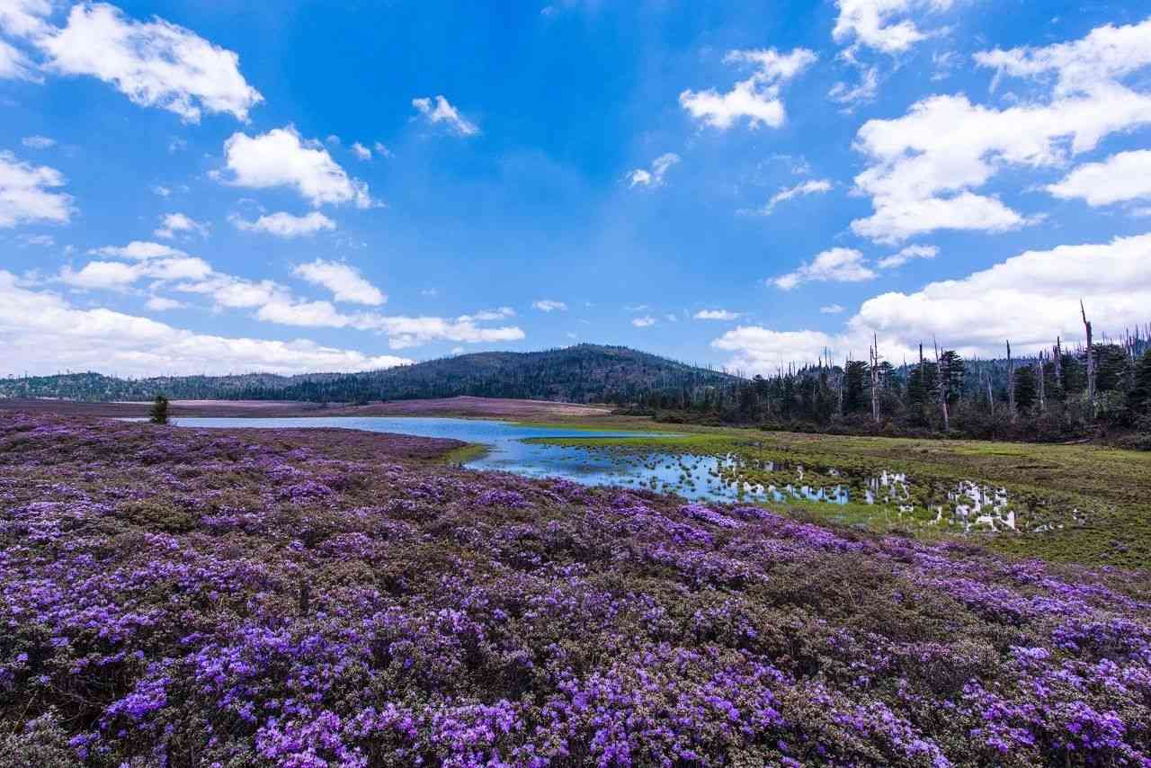 国内旅游哪里好玩，5月国内旅游去哪好？