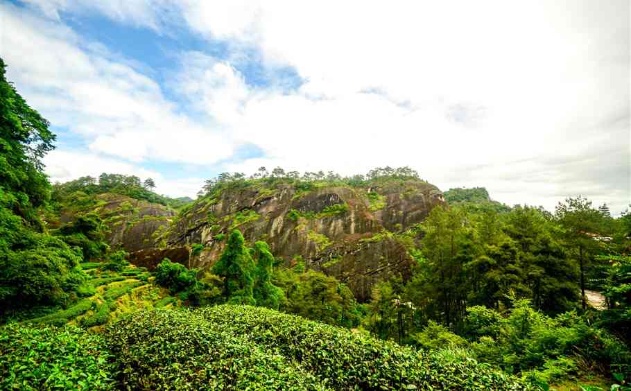 神话武夷山，岩茶的故乡