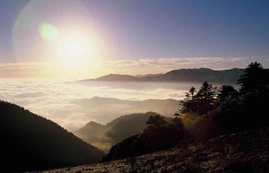 四川雅安十大景点：杜鹃山介绍