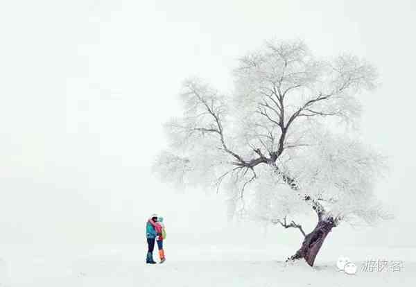 雪乡·雪谷·雪村·雪岭，东北雪景哪里最美？