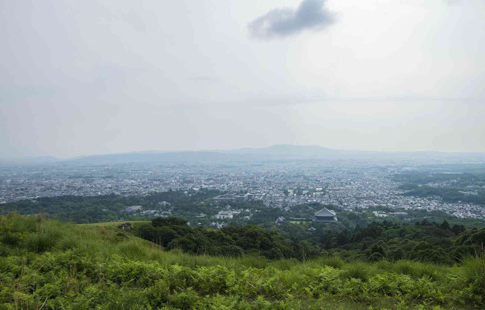 奈良有哪些著名旅游景点