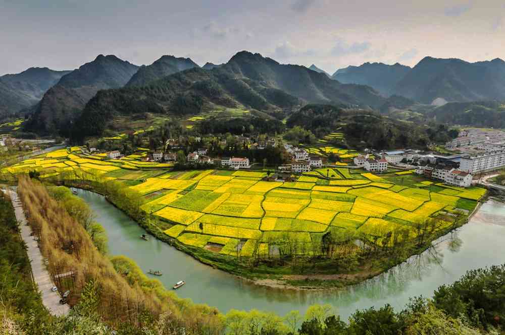 北纬32度最美的油菜花观赏地