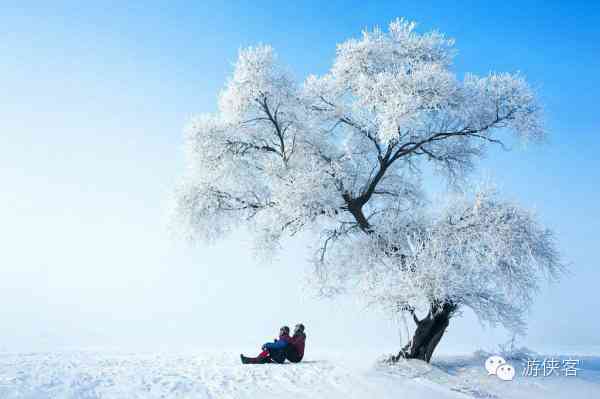 雪乡·雪谷·雪村·雪岭，东北雪景哪里最美？