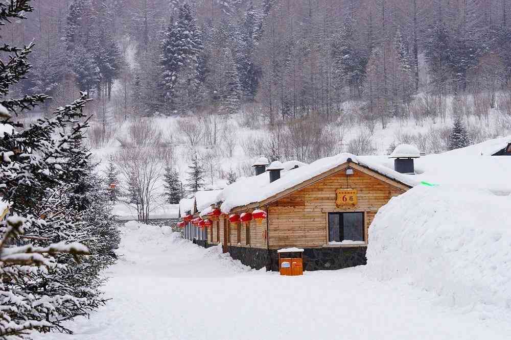 瑟瑟发抖，去雪乡怎样才能避免被宰？