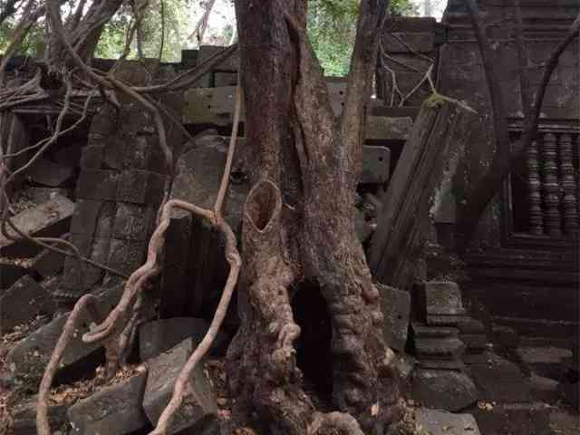 在圣剑寺遇见最真实的柬埔寨