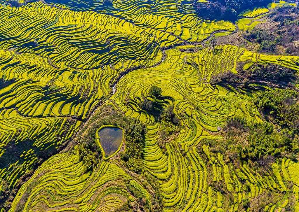 婺源春季旅游线路哪条好