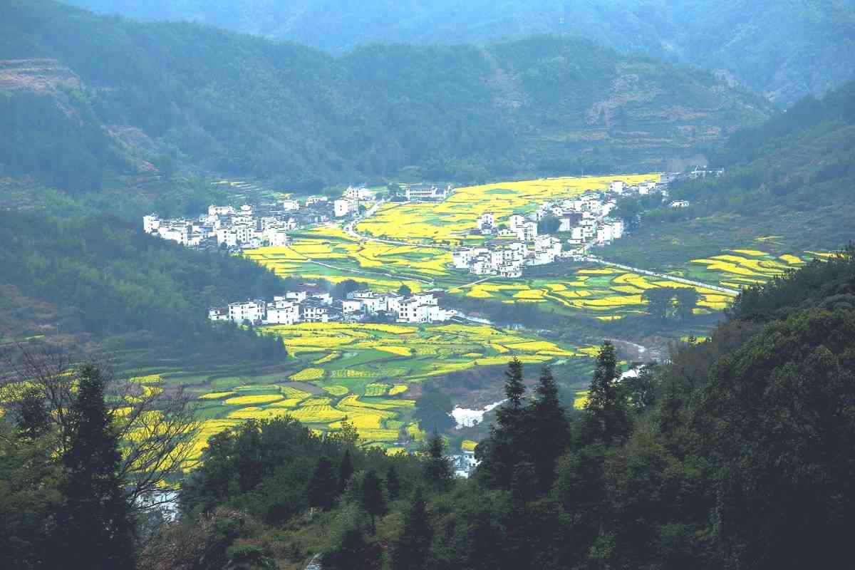 婺源看油菜花的地方