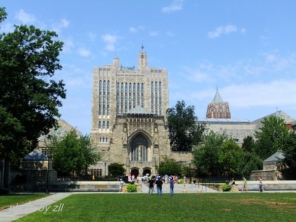 耶鲁大学