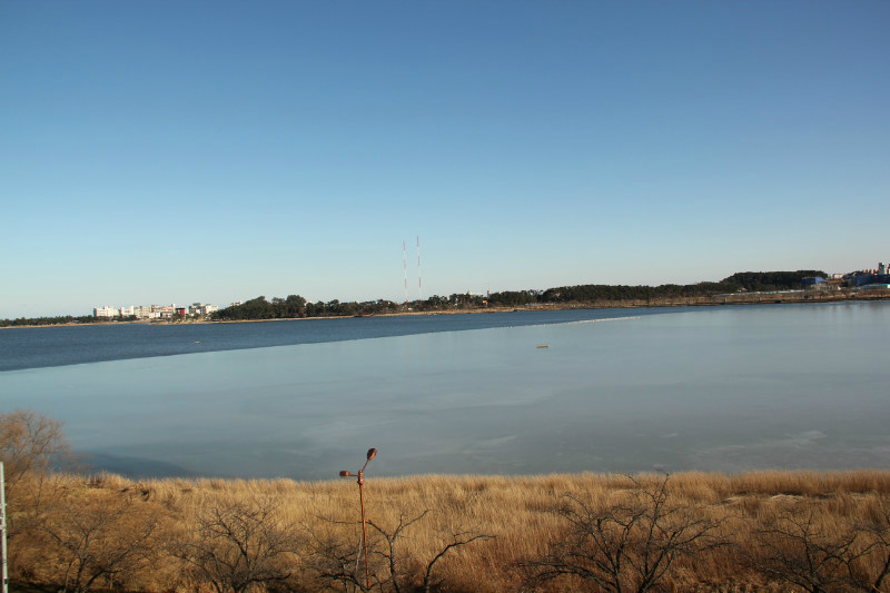 镜浦湖候鸟栖息地