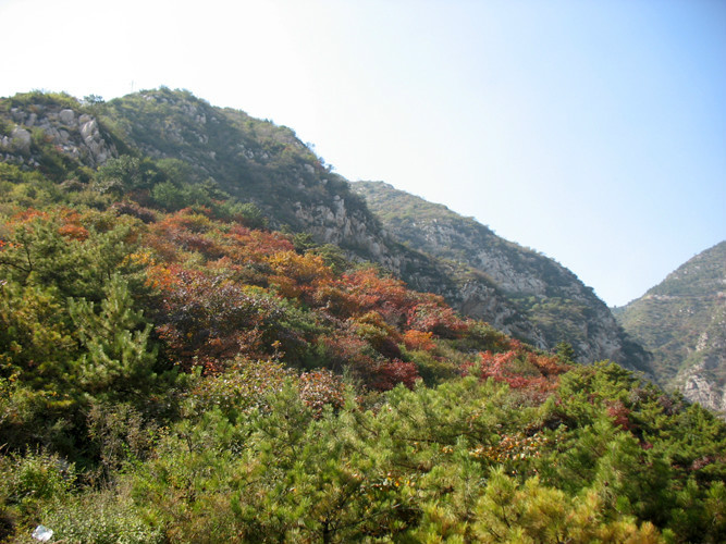 崛围山风景区