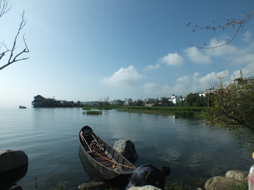 才村湿地公园