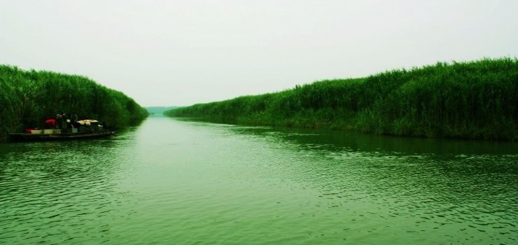 湖南西洞庭湖湿地公园