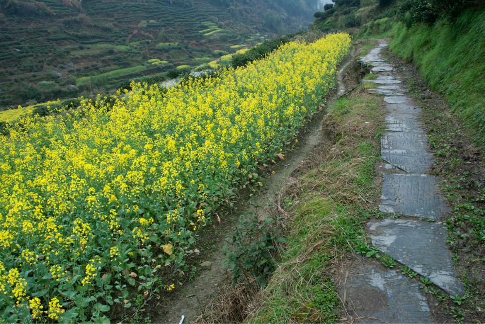 徽饶古道