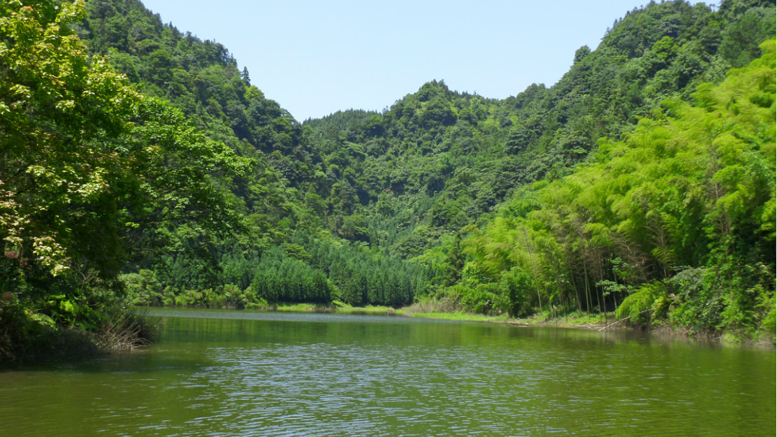 莫家沟