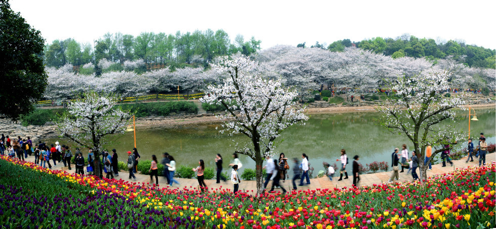 湖南森林植物园