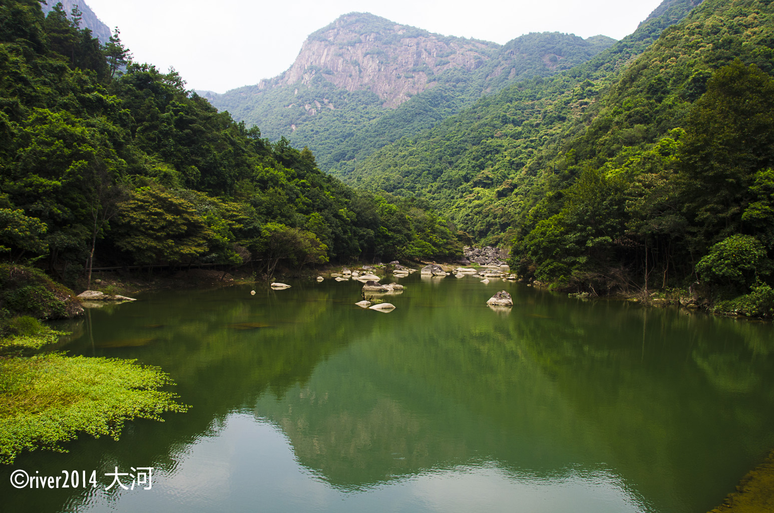 九龙谷森林公园