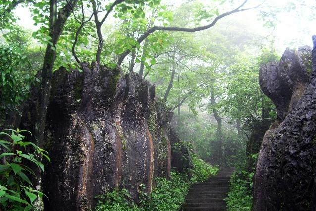 美女峰森林公园