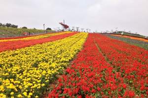 厦门游团购，特价A线厦门鼓浪屿两天双动特价之旅，游厦门