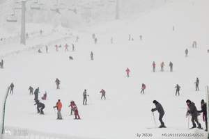 成都旅游推荐_成都西岭雪山旅游费用_西岭雪山二日游最新报价