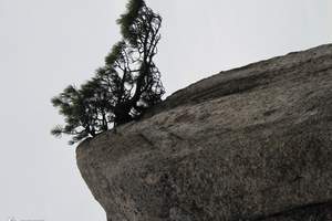 淄博到【梦里黄山】+千岛湖【标准班】四日