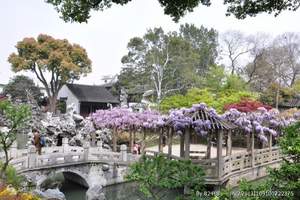 华东五市旅游景点_水乡乌镇_大连到华东五市旅游特价双飞六日游