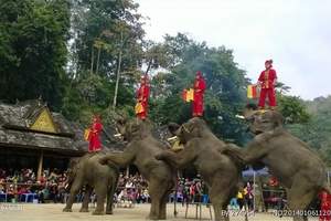 昆明周边游|风情版纳|傣族园、大佛寺、曼听公园、南药园4天游