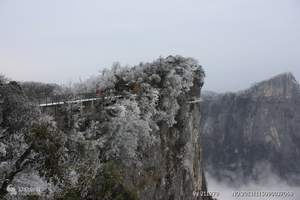 天门山玻璃栈道_鬼谷栈道_天门山国家森林公园一日游