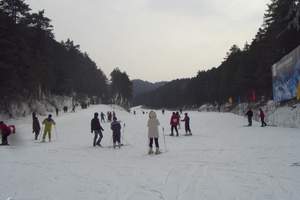 石家庄到西柏坡温泉滑雪 白鹿温泉汽车二日游