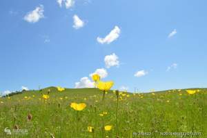 【北京出发到内蒙古旅最佳季节】希拉穆仁草原银肯响沙湾卧飞四日