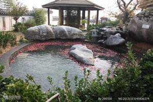 青岛去即墨泡温泉 【海泉湾度假村】一日游（天天发车）