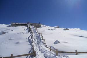 重庆到达古冰川旅游团购_达古冰川旅游报价_达古冰川三日游