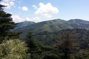 武汉去庐山旅游/庐山·精华二日游：三叠泉，如琴湖，情人松