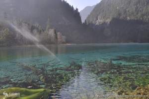 北京到厦门旅游性价比高的费用价格_南普陀寺鼓浪屿双飞5日游