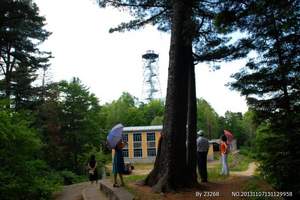 <到伊春旅游住木制别墅,感受绿色生态两日游>伊春五营森林公园