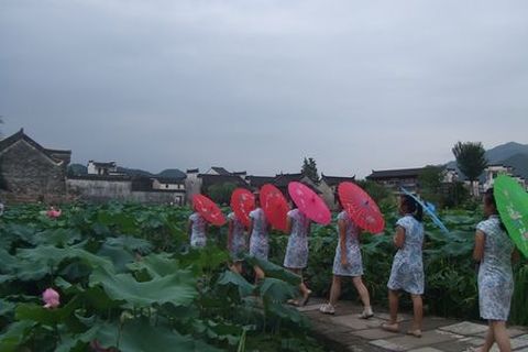 <牌坊群-鲍家花园-唐模-呈坎1日游>黄山市内参团，览牌坊群