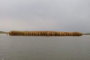 【宁夏旅游、银川旅游】沙湖、镇北堡西部影城、贺兰山岩画一日游