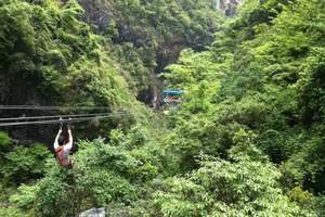 重庆到湖南张家界旅游【湖南张家界、天子山4日游】