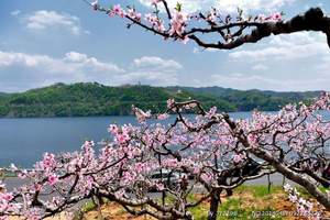 广州到辽宁吉林旅游_河口、露水河狩猎场、珲春、红旗村七天游