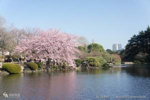 【北京去日本名古屋旅游费用】大阪京都箱根6日|东京旅游团线路