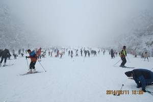 西柏坡滑雪场门票 西柏坡滑雪一日游团购