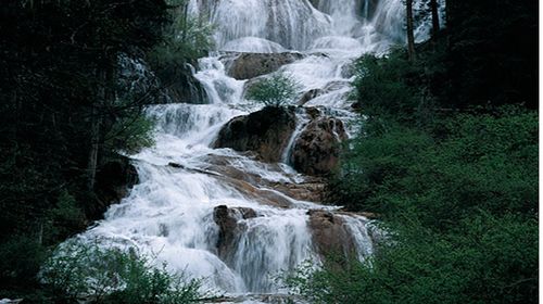 <九寨沟-黄龙-峨眉山-乐山5日游>成都参团，VIP升级线路