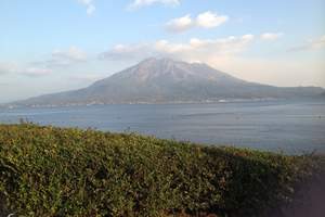 【去日本伊豆旅游最低报价】大阪城公园神鹿公园东大寺东京6日游