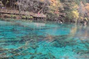 近期特价去九寨沟、龙日坝大草原旅游报价费用 双卧纯玩八日游