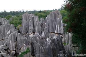 长治去云南旅游六天_昆明石林旅游_七彩云南旅游团云南旅游景点