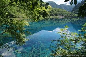 成都、九寨沟、黄龙、峨眉全山、乐山单飞八日游/游遍四川