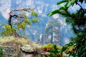 端午节旅游的地方,长沙去张家界旅游，张家界、袁家界汽车三日游