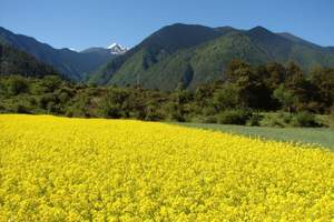 婺源三清山景德镇庐山精华四日游（赠送九江特产）