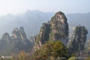 夏季避暑 探寻群山漂浮 北京旅游去张家界/金鞭溪 双飞5日游